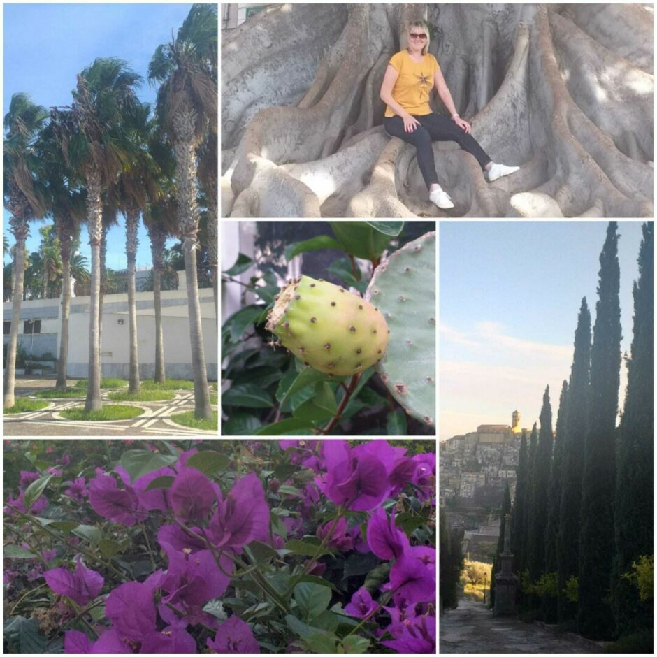 Kursi projekta ietvaros